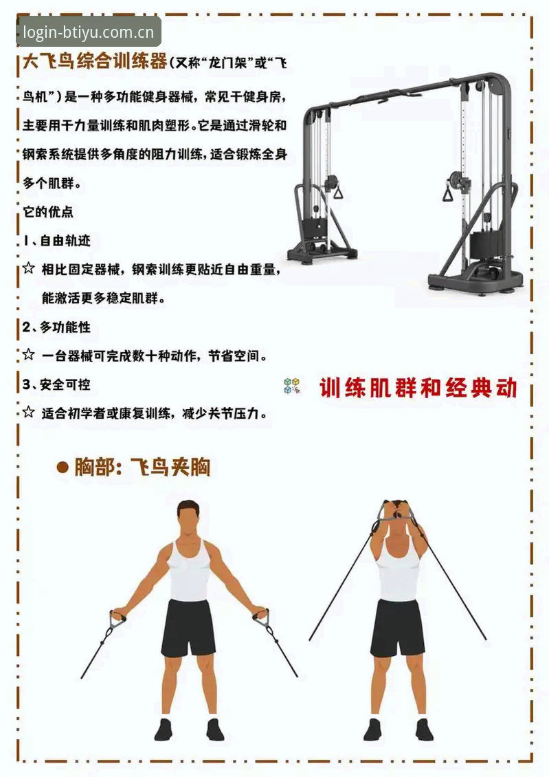 B体育平台功能详解与高效使用教程